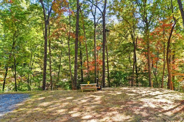 103 Hibiscus Lane, Blue Ridge, GA 30513
