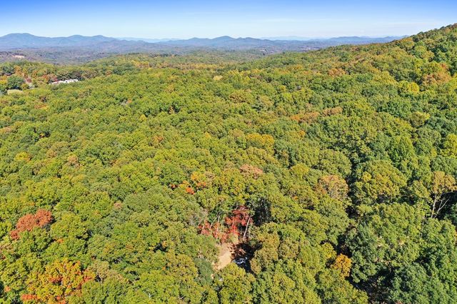 103 Hibiscus Lane, Blue Ridge, GA 30513