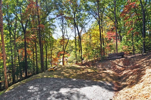 103 Hibiscus Lane, Blue Ridge, GA 30513