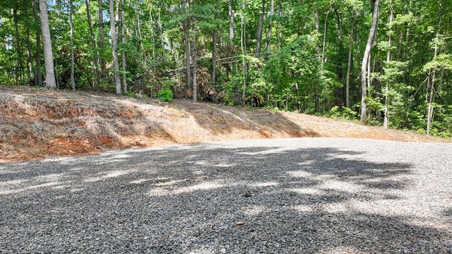 103 Hibiscus Lane, Blue Ridge, GA 30513