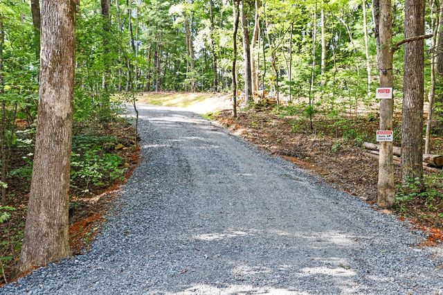 103 Hibiscus Lane, Blue Ridge, GA 30513