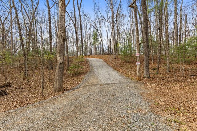 103 Hibiscus Lane, Blue Ridge, GA 30513