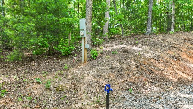 103 Hibiscus Lane, Blue Ridge, GA 30513
