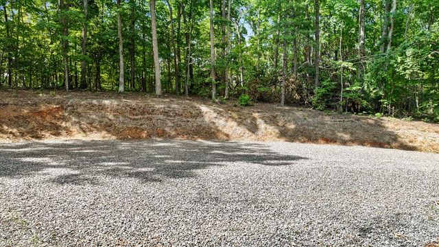 103 Hibiscus Lane, Blue Ridge, GA 30513