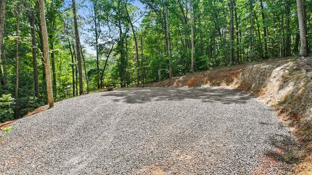 103 Hibiscus Lane, Blue Ridge, GA 30513