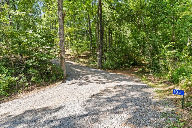 103 Hibiscus Lane, Blue Ridge, GA 30513