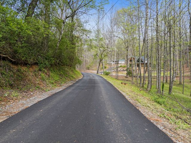 103 Hibiscus Lane, Blue Ridge, GA 30513