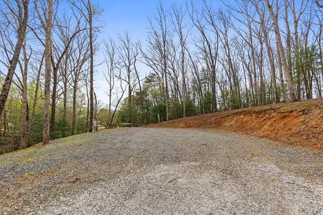 103 Hibiscus Lane, Blue Ridge, GA 30513
