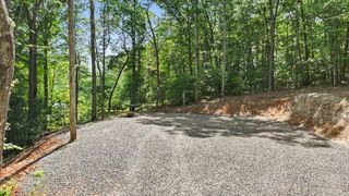 103 Hibiscus Lane, Blue Ridge, GA 30513