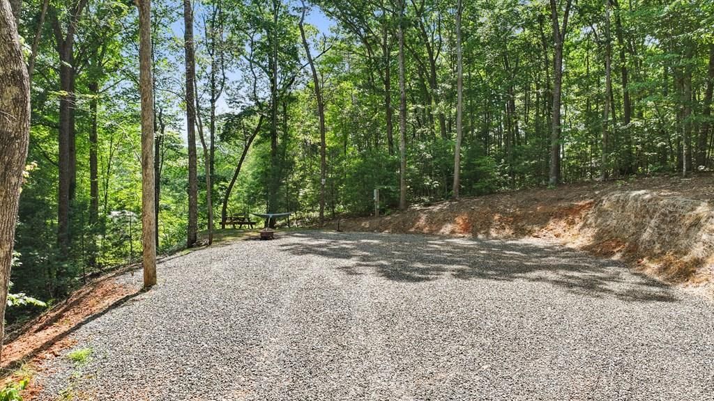 103 Hibiscus Lane, Blue Ridge, GA 30513