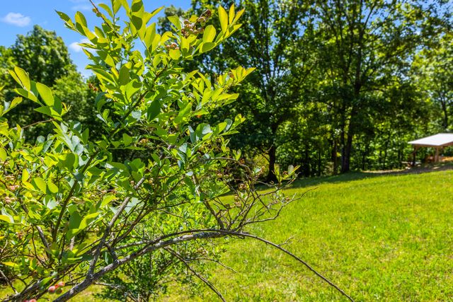 6435 Davis Hill Road, Harrison, TN 37341