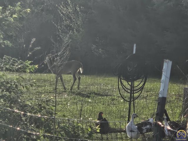 12279 S Docking RD, Burlingame, KS 66413