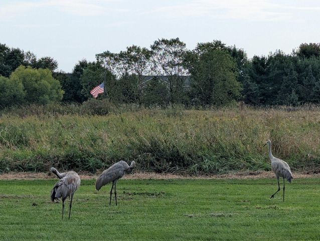 5440 Highland Trail, Big Lake, MN 55309