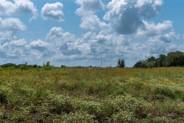 1061 Shiloh Vista Lane, Tolar, TX 76476