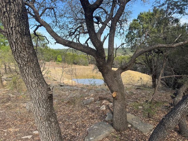 1061 Shiloh Vista Lane, Tolar, TX 76476