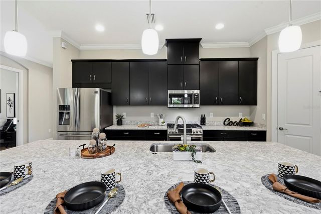 11301 JUGLANS DRIVE, Odessa, FL 33556