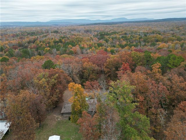 10157 Muscadine Lane, Danville, AR 72833