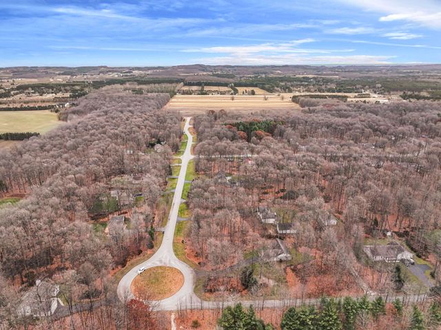 9685 Woodys Run, Long Lake Twp, MI 49684