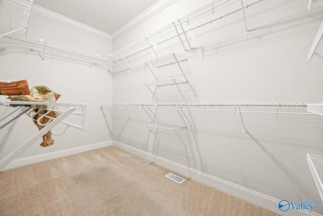 123 Matilda Drive, Huntsville, AL 35811