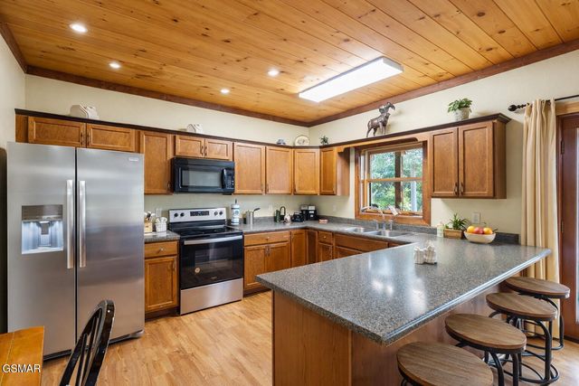 203 Amet Way, Cosby, TN 37722