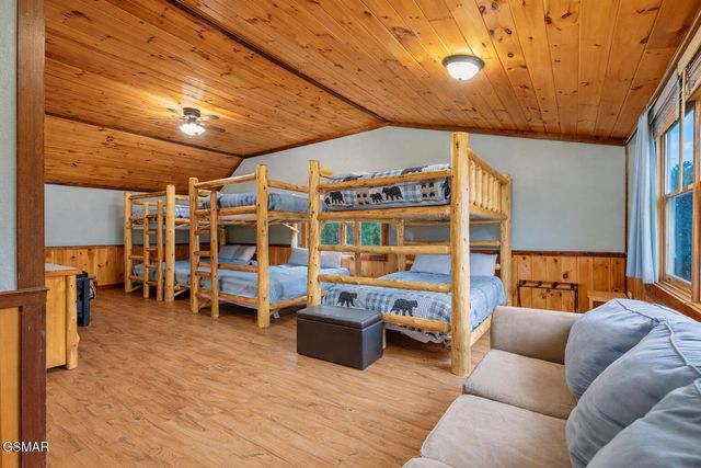 203 Amet Way, Cosby, TN 37722