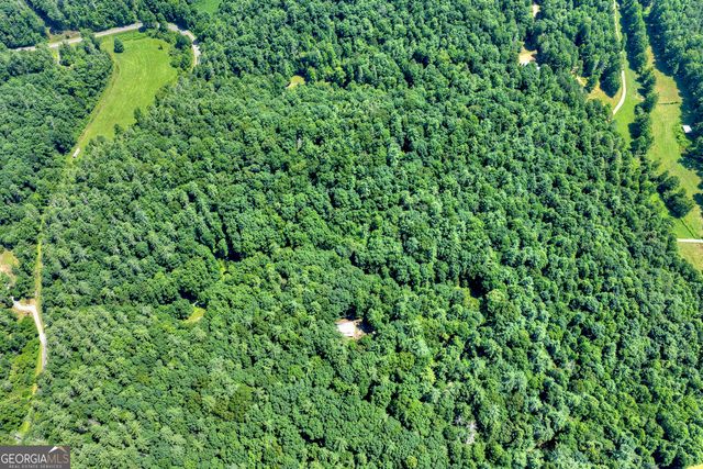 600 Conasauga Road, Ellijay, GA 30540