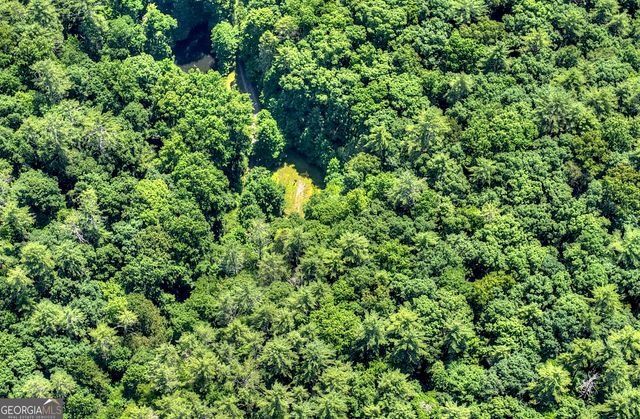 600 Conasauga Road, Ellijay, GA 30540