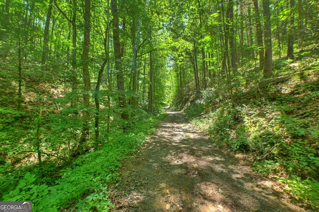 600 Conasauga Road, Ellijay, GA 30540