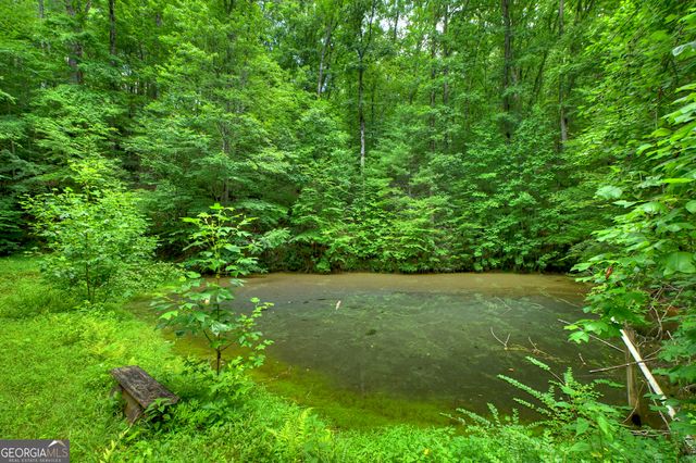 600 Conasauga Road, Ellijay, GA 30540