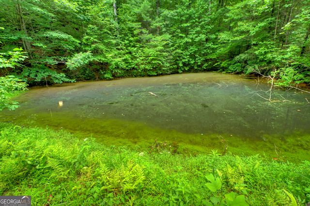 600 Conasauga Road, Ellijay, GA 30540