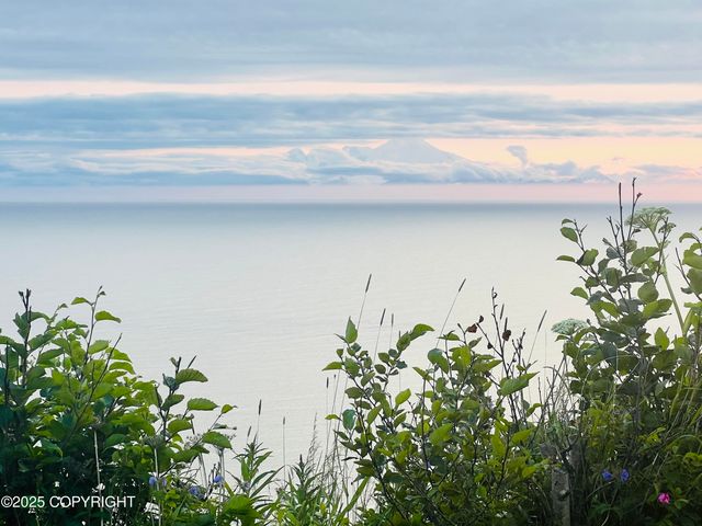 32425 Sterling Highway, Anchor Point, AK 99556