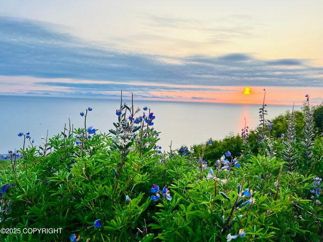 32425 Sterling Highway, Anchor Point, AK 99556