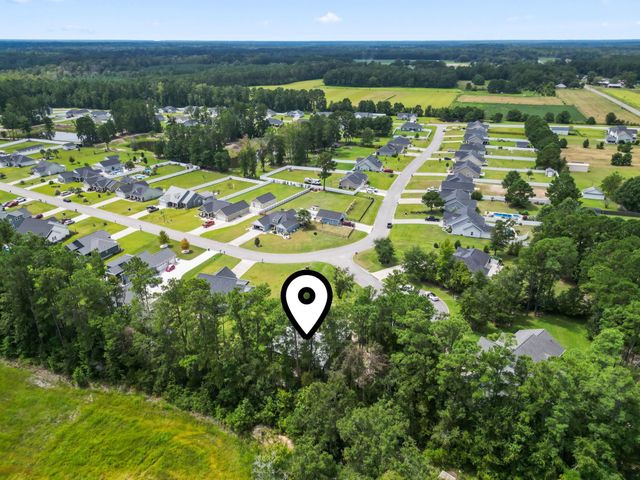 300 Purdue Ct., Galivants Ferry, SC 29544