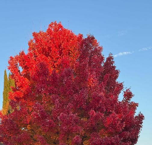 736 Shoreside Dr, Sacramento, CA 95831