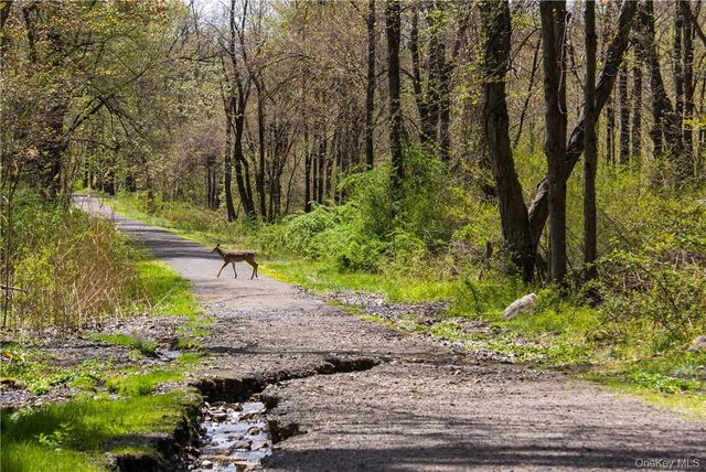 414 Benedict Avenue 1D, Tarrytown, NY 10591