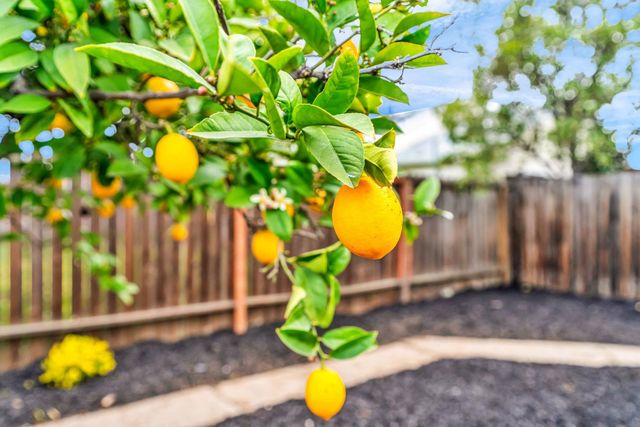 175 Clyde St, Pittsburg, CA 94565