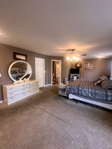 59 Eiffel Tower Ln, Paris, TN 38242