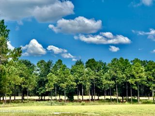 Lot 153 Players Cove, Gautier, MS 39553