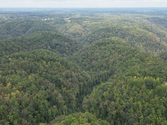 0 Eagle Creek Rd Old Eagle Creek, Smithville, TN 37166