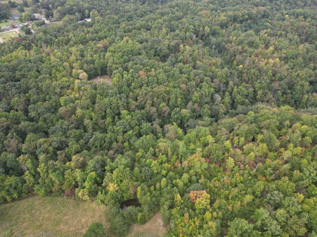 0 Eagle Creek Rd Old Eagle Creek, Smithville, TN 37166