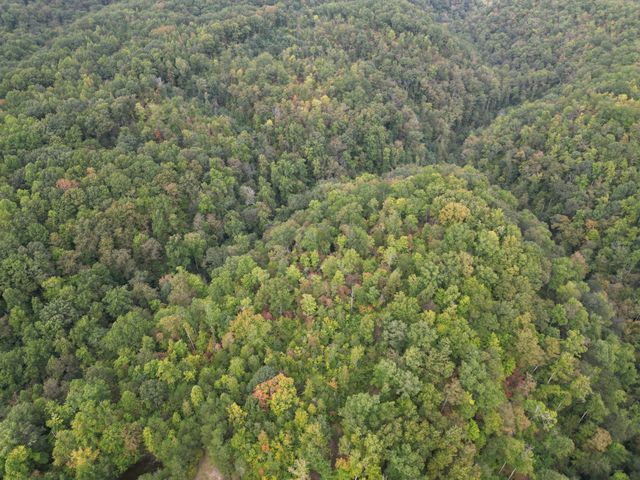 0 Eagle Creek Rd Old Eagle Creek, Smithville, TN 37166