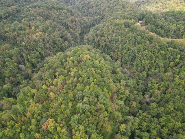 0 Eagle Creek Rd Old Eagle Creek, Smithville, TN 37166