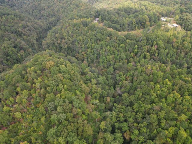 0 Eagle Creek Rd Old Eagle Creek, Smithville, TN 37166