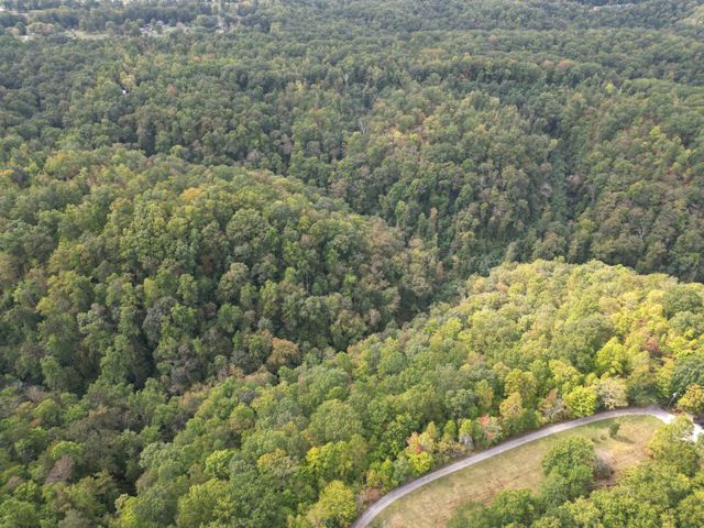 0 Eagle Creek Rd Old Eagle Creek, Smithville, TN 37166