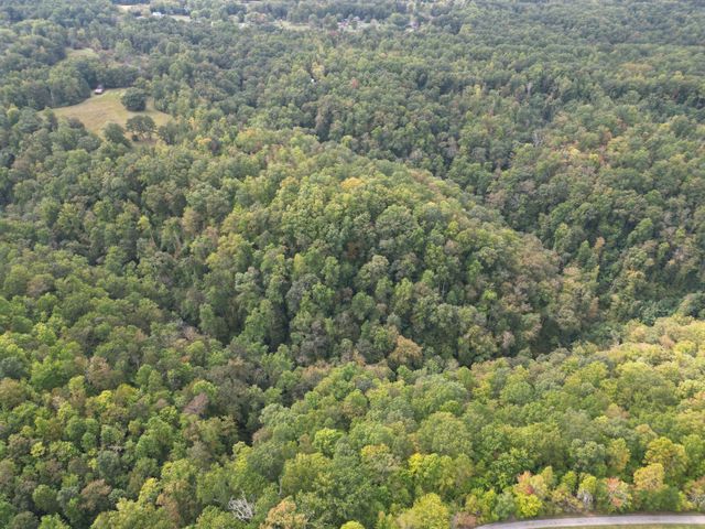 0 Eagle Creek Rd Old Eagle Creek, Smithville, TN 37166