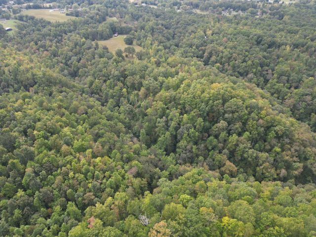 0 Eagle Creek Rd Old Eagle Creek, Smithville, TN 37166
