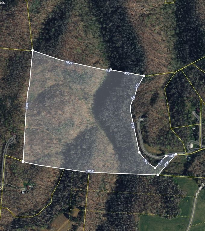 0 Eagle Creek Rd Old Eagle Creek, Smithville, TN 37166