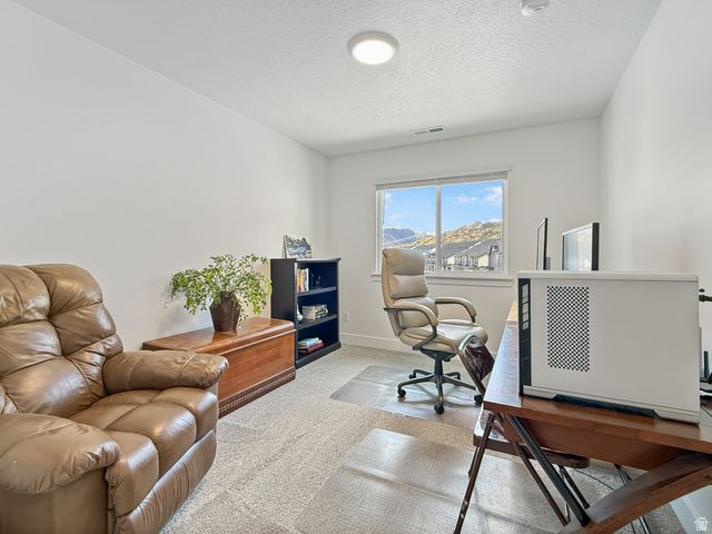 641 W DESERT WILLOW DR, Mapleton, UT 84664