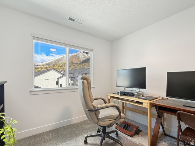 641 W DESERT WILLOW DR, Mapleton, UT 84664