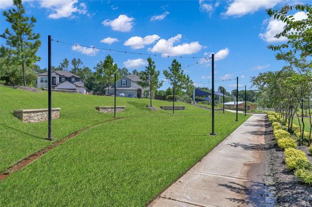 1286 Sandstone Hills Drive, Montgomery, TX 77316